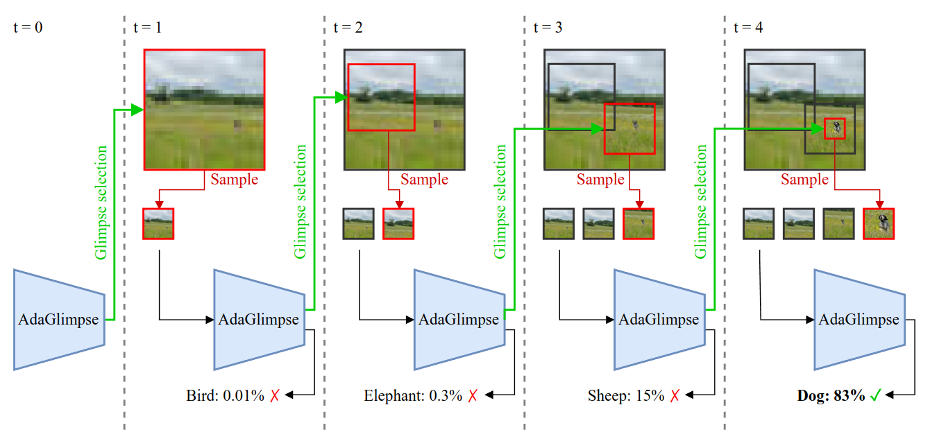 visual exploration - human vs. AI